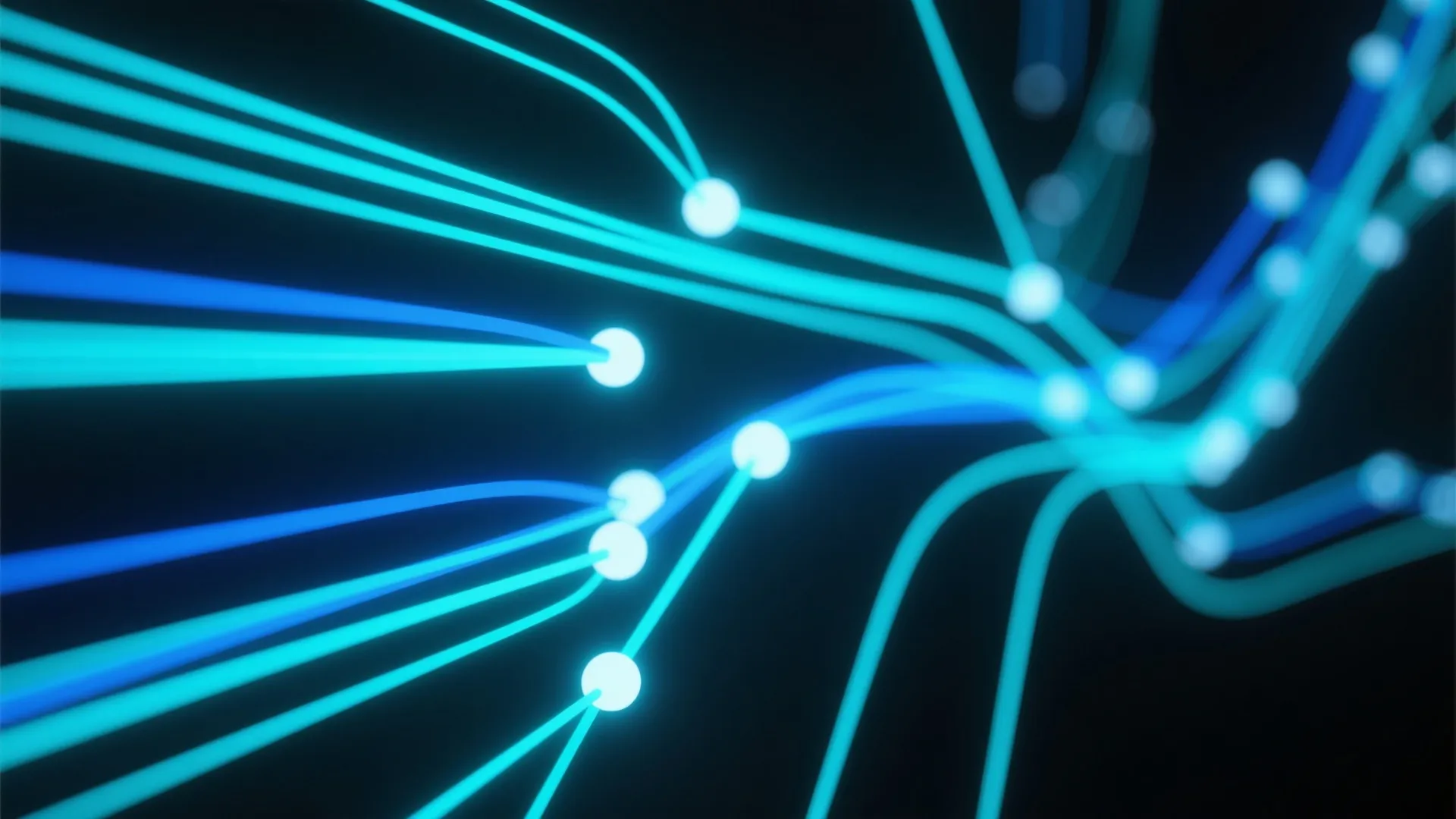 极速运动会数据网络